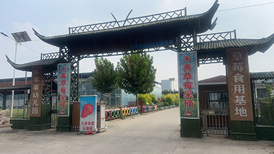 【世纪星】乐游学堂——趣享农耕 收获快乐